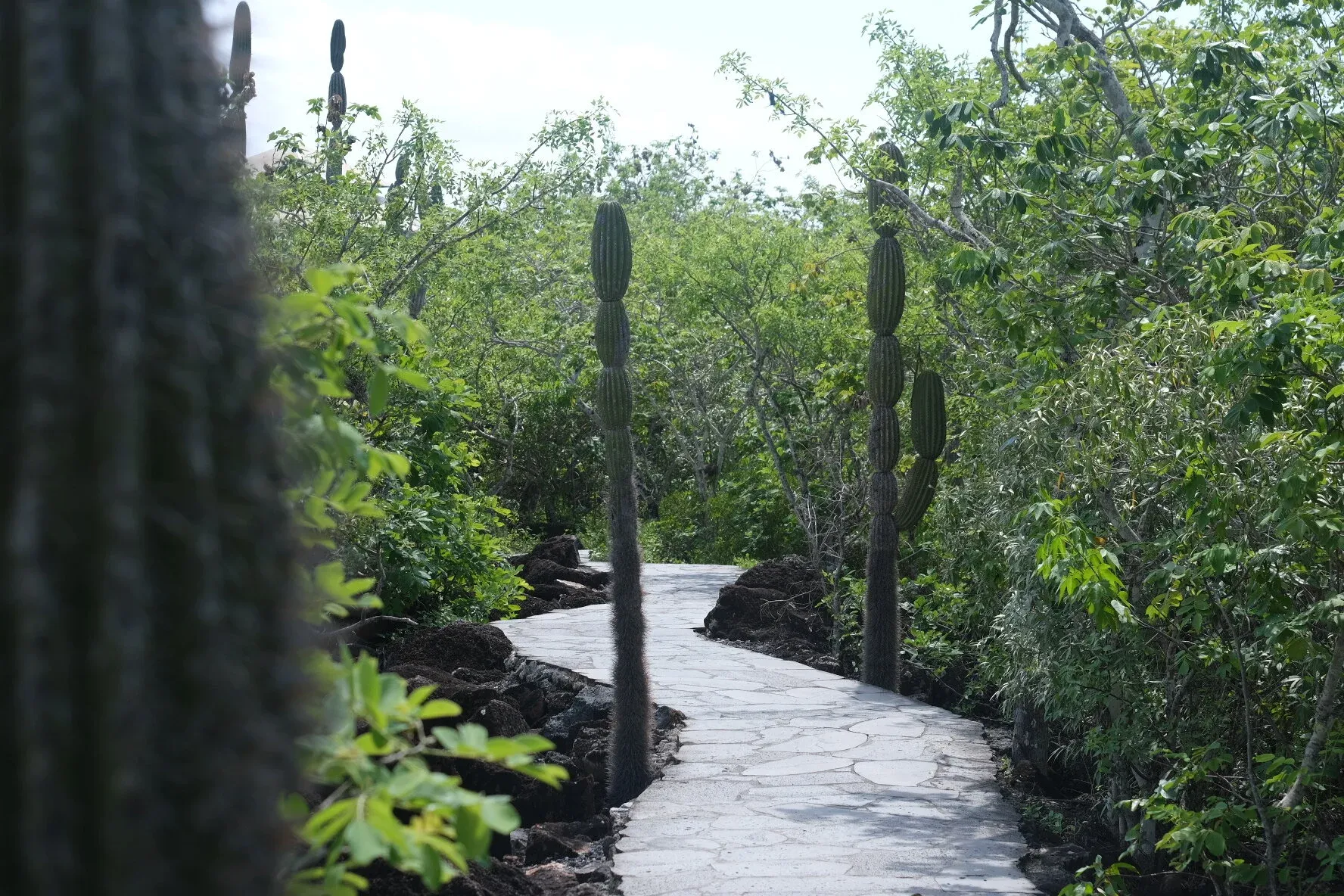 Beautiful pathways connect the various sites adjacent to San Cristobal town