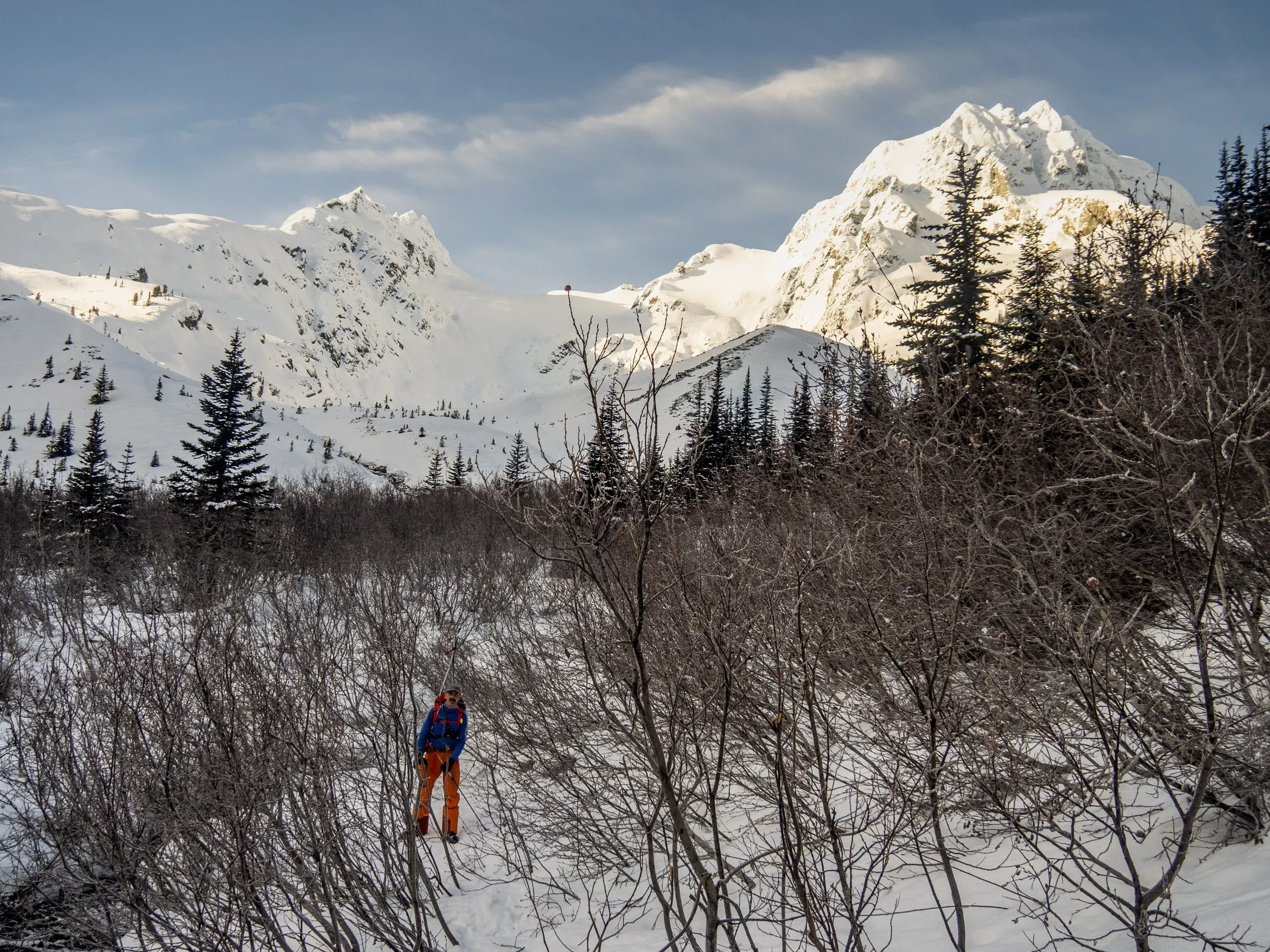 Classic Duffey early season alder bashing… in February
