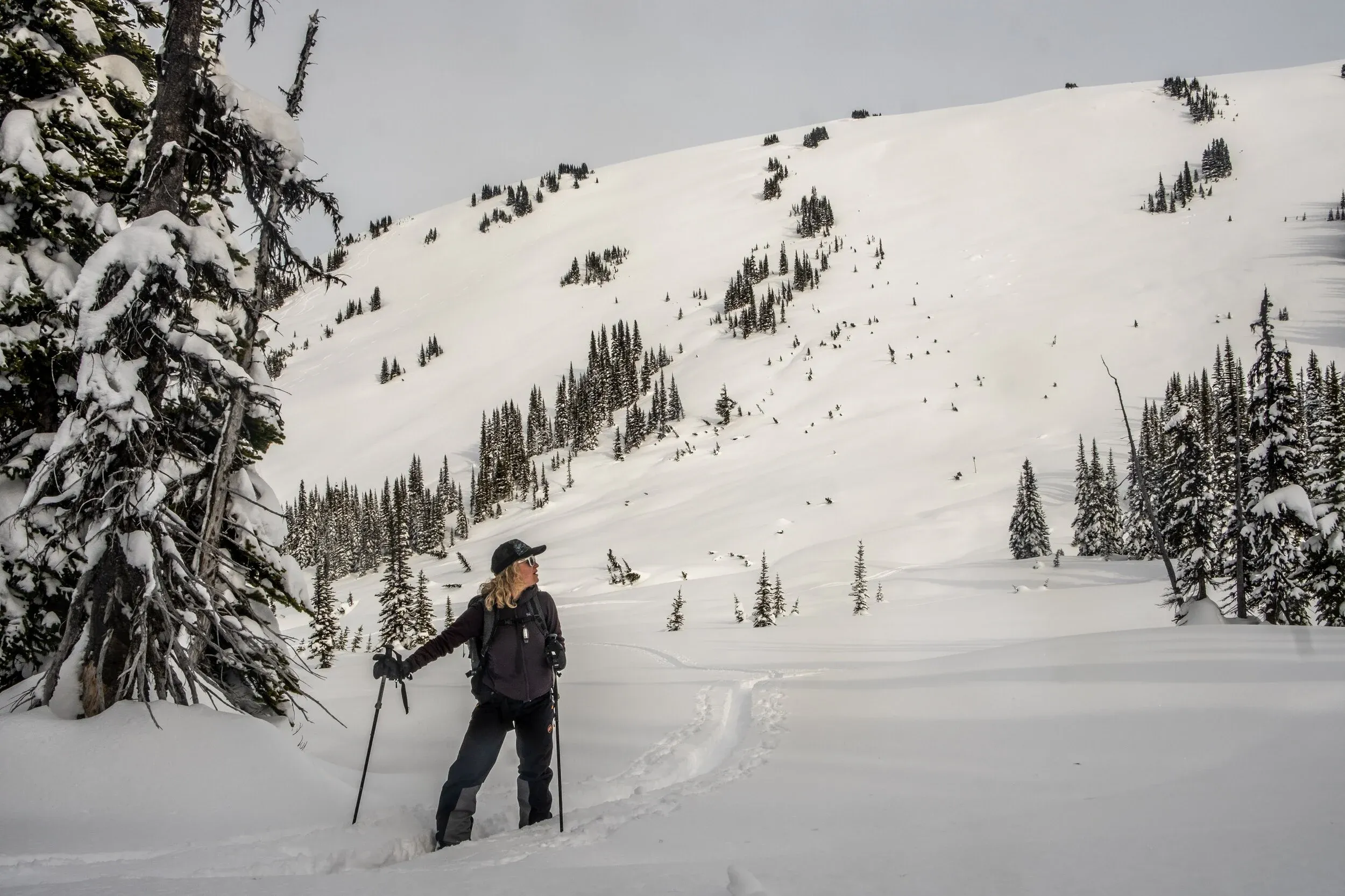 Looking back towards Cowboy Ridge