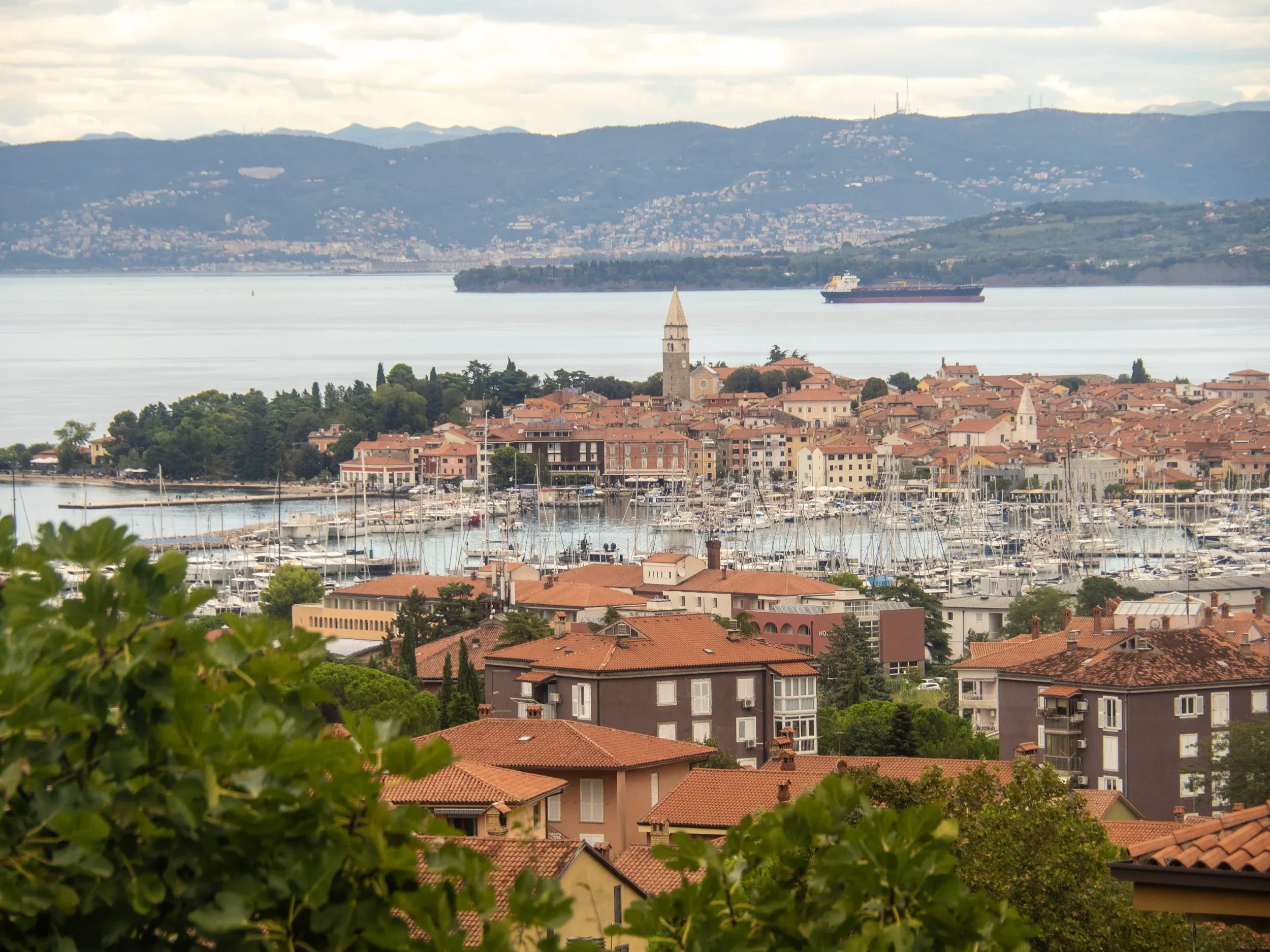 Izola
