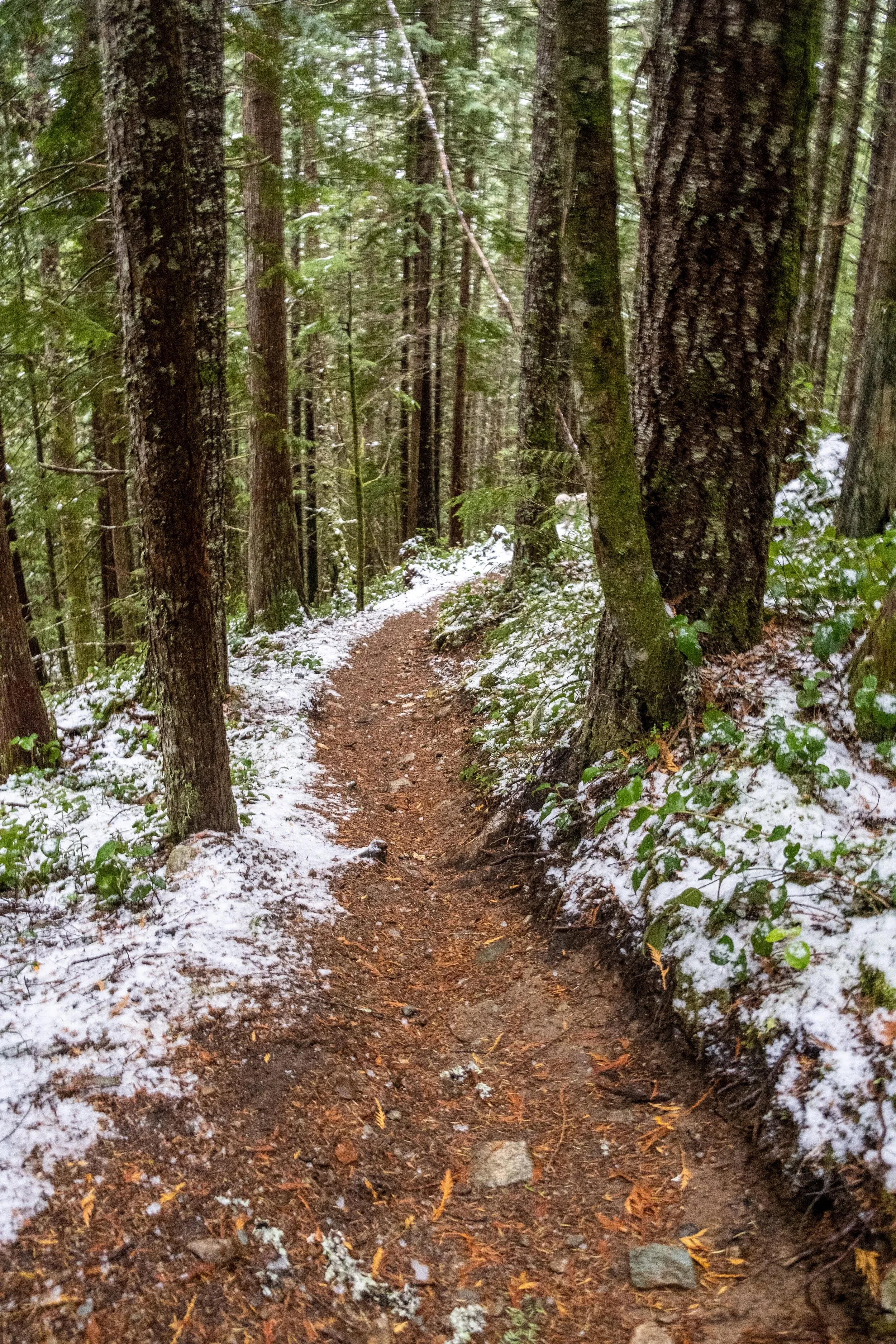 Clear signs of the approach of winter