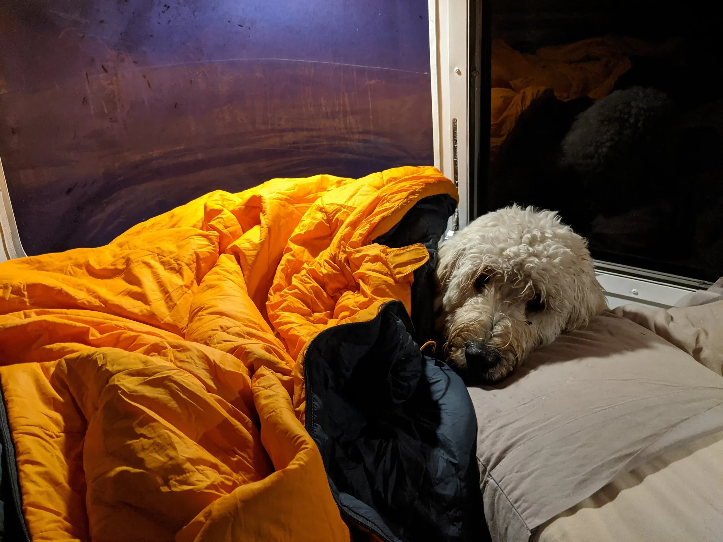 Greasy Snoot, attempting to warm up in Winston on a chilly evening.