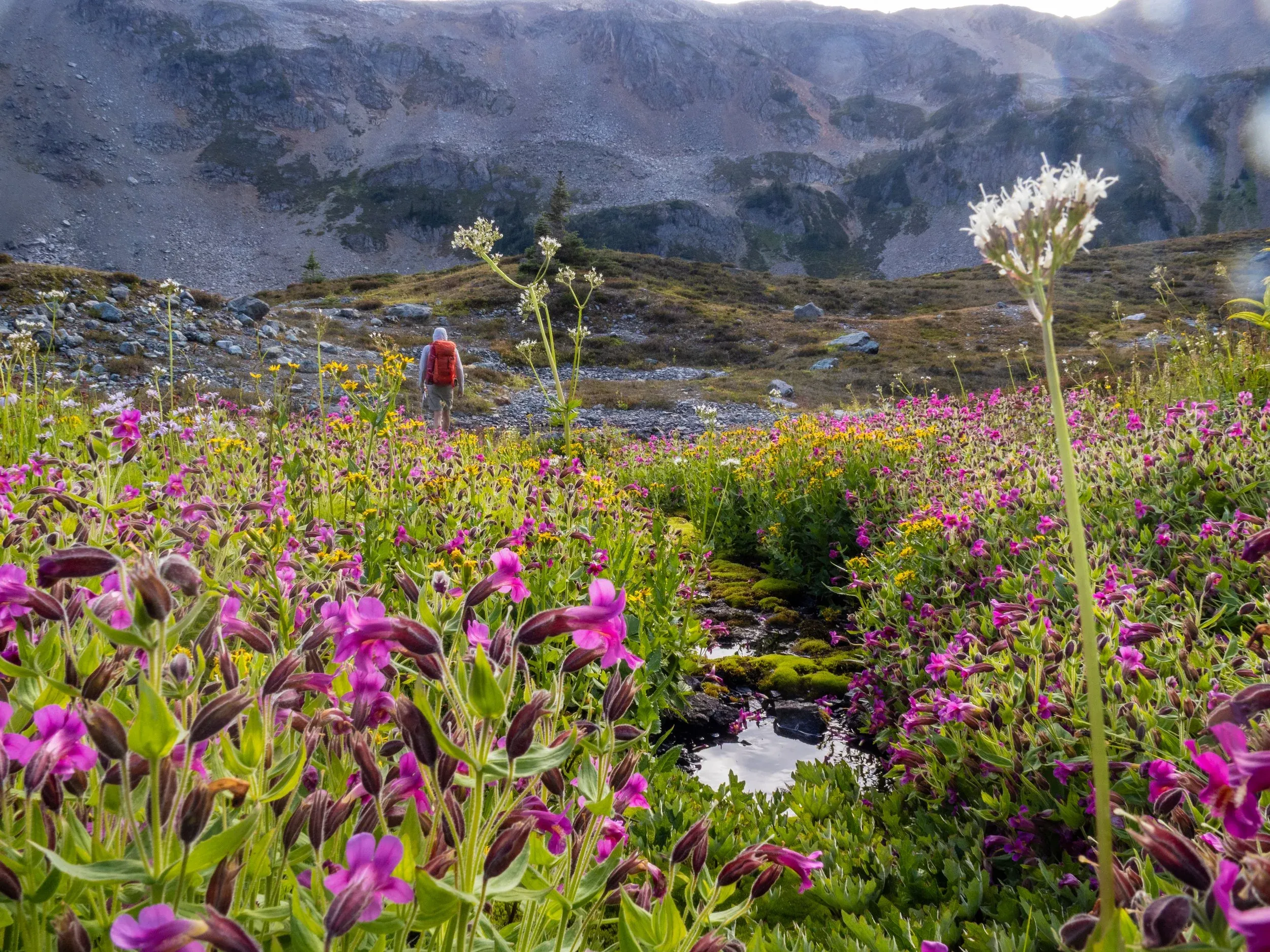In the upper basin above Ogre Lake