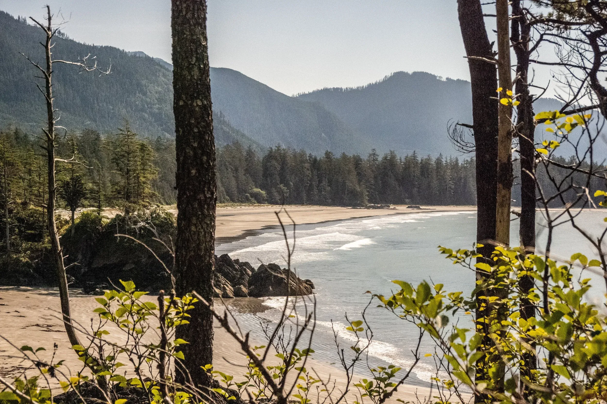 Classic west coast vibes. We did a longer walk one day where eventually we did find an established and active summer camp and signs of logging camps, but our North end in the park was deserted.