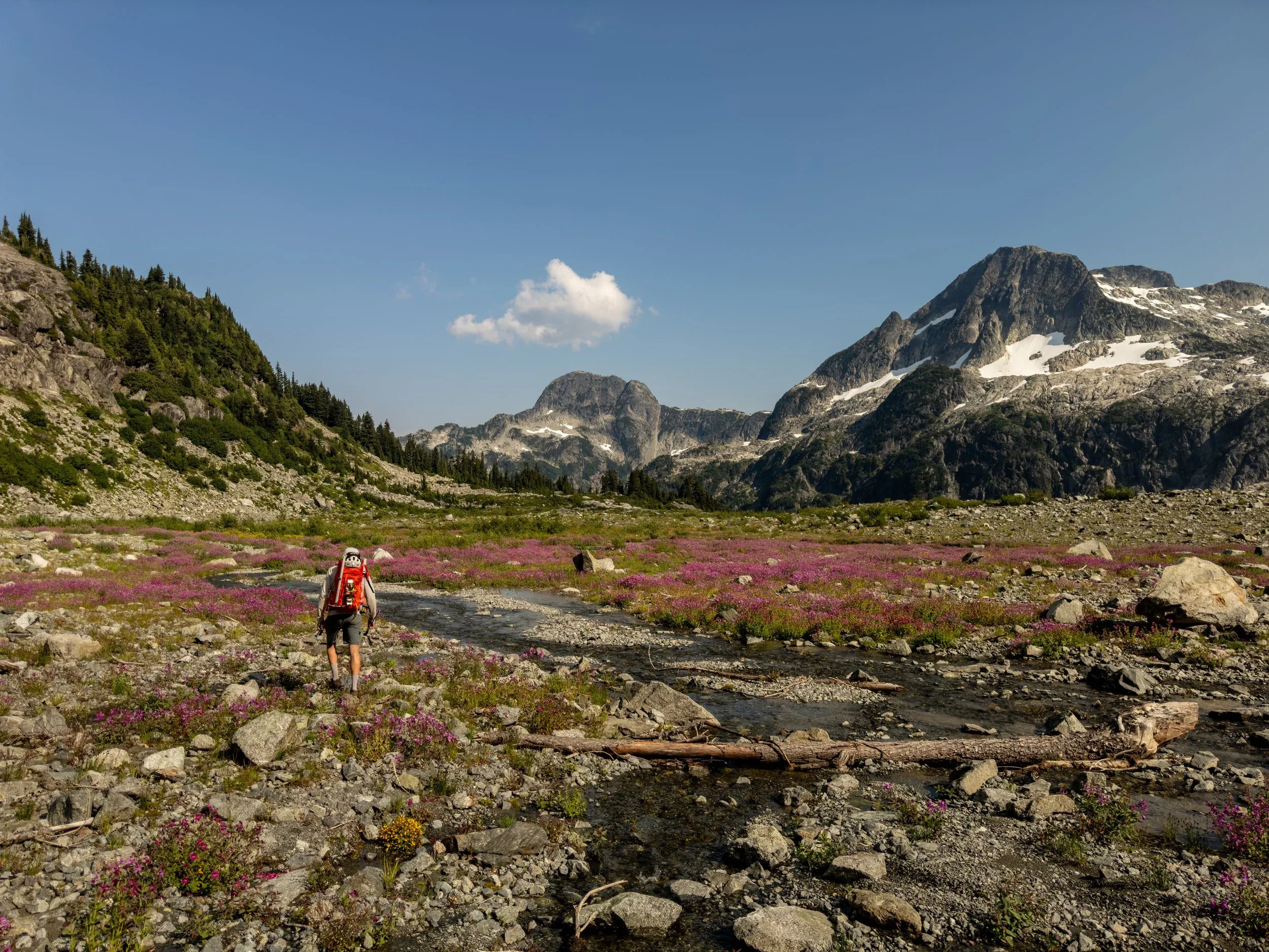 The “Russian Army Camp” was beautiful! Meandering streams surrounded by incredible alpine flower displays