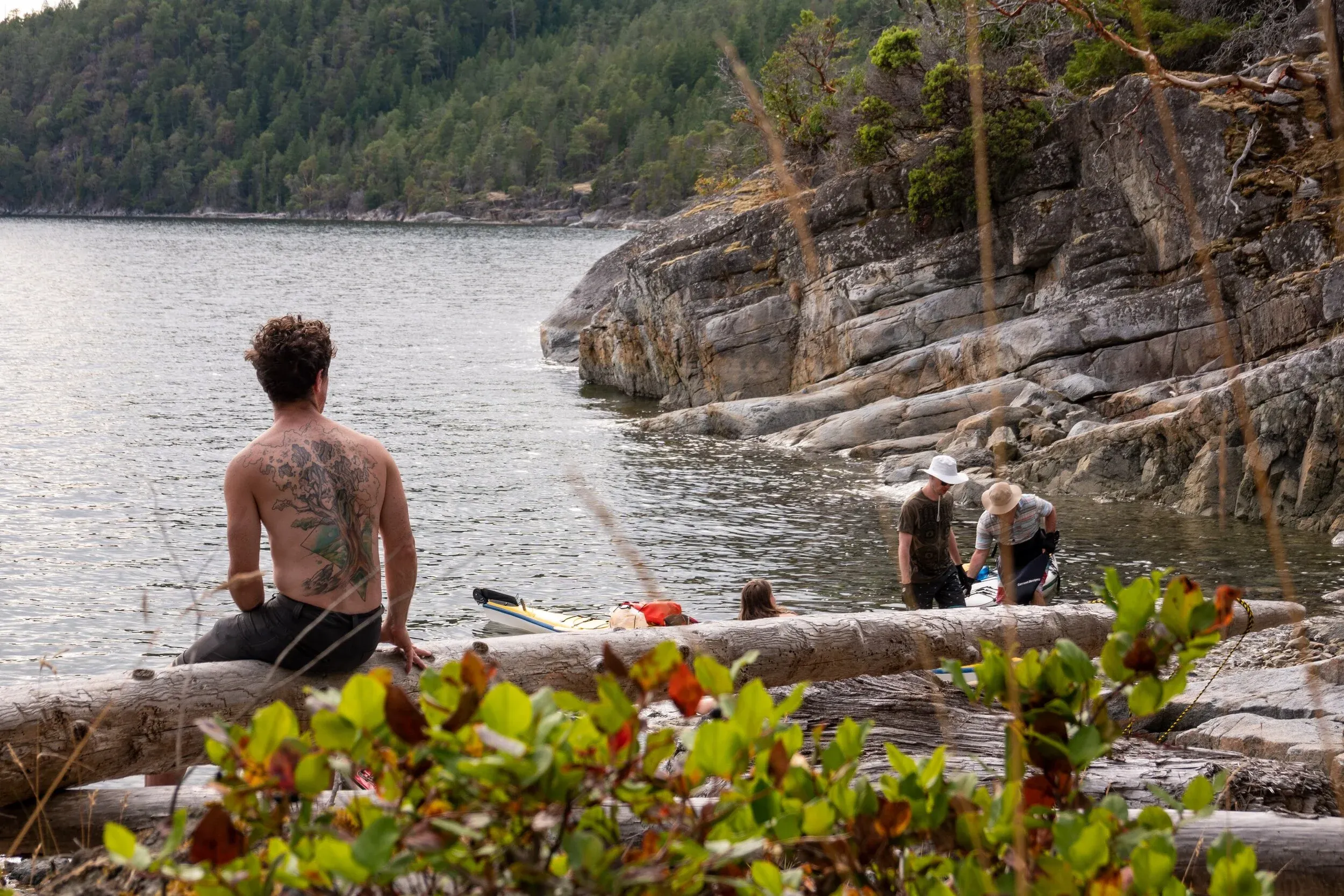 Mink Island