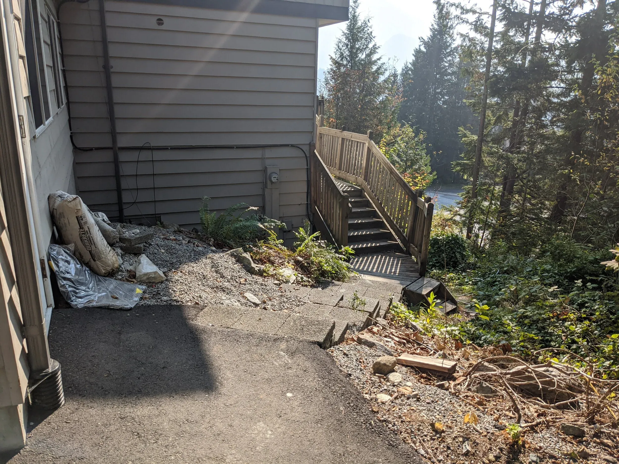 The first act of the 2020/21 reno: taking out the rhodo where the new front entrance is to reside